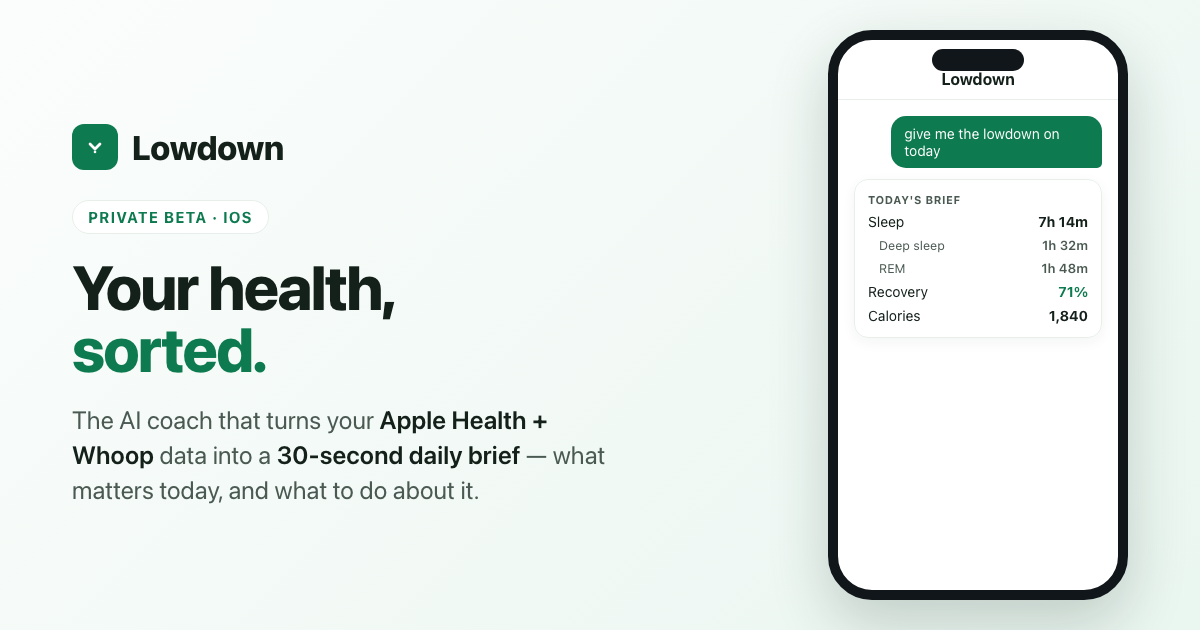 Lowdown — 官网预览图